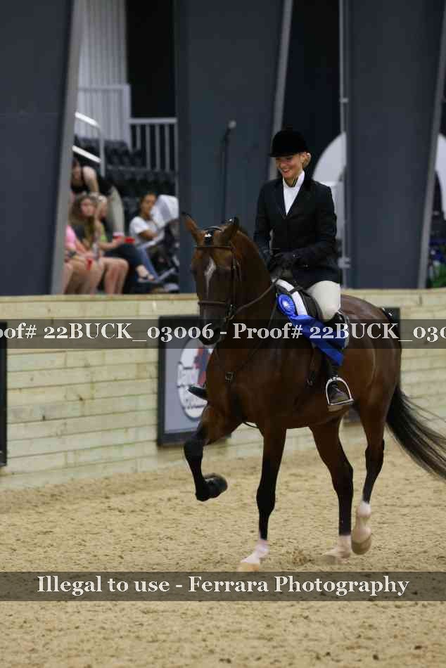 Proof 22BUCK_03006