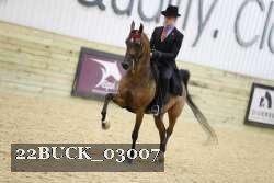 22BUCK_03007 proof