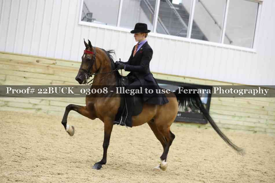 Proof 22BUCK_03008
