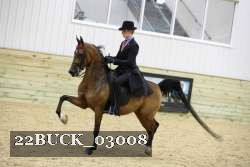 22BUCK_03008 proof