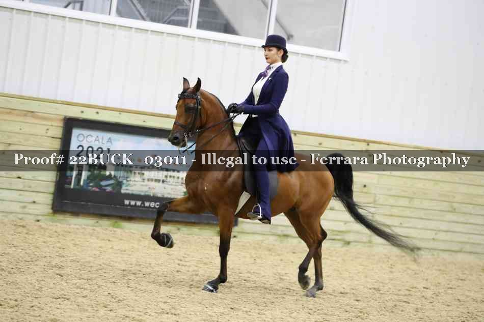 Proof 22BUCK_03011