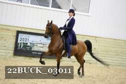 22BUCK_03011 proof