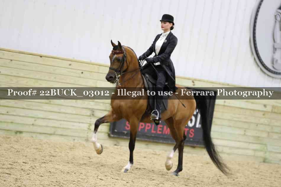 Proof 22BUCK_03012