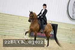 22BUCK_03012 proof