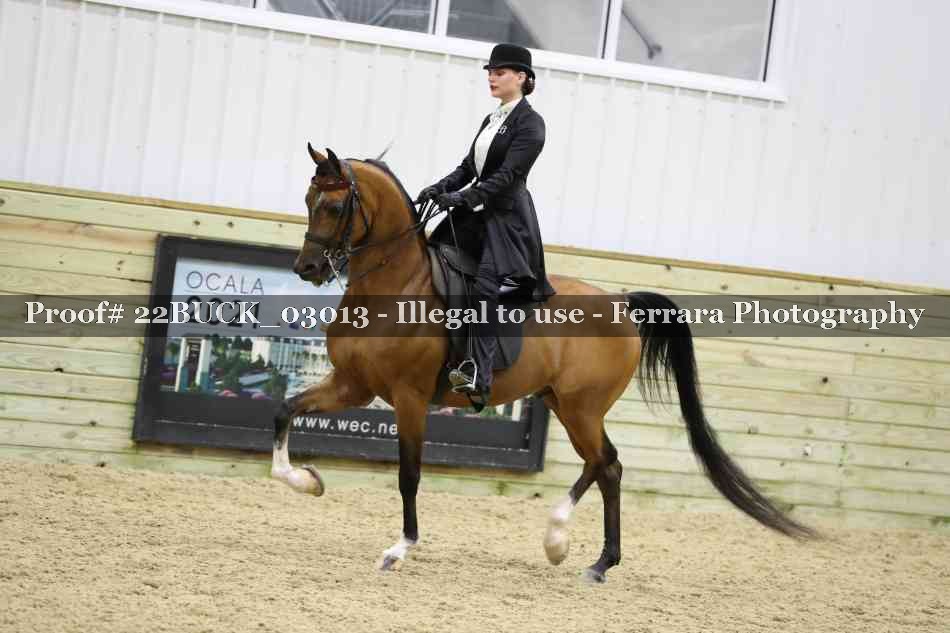 Proof 22BUCK_03013