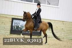 22BUCK_03013 proof