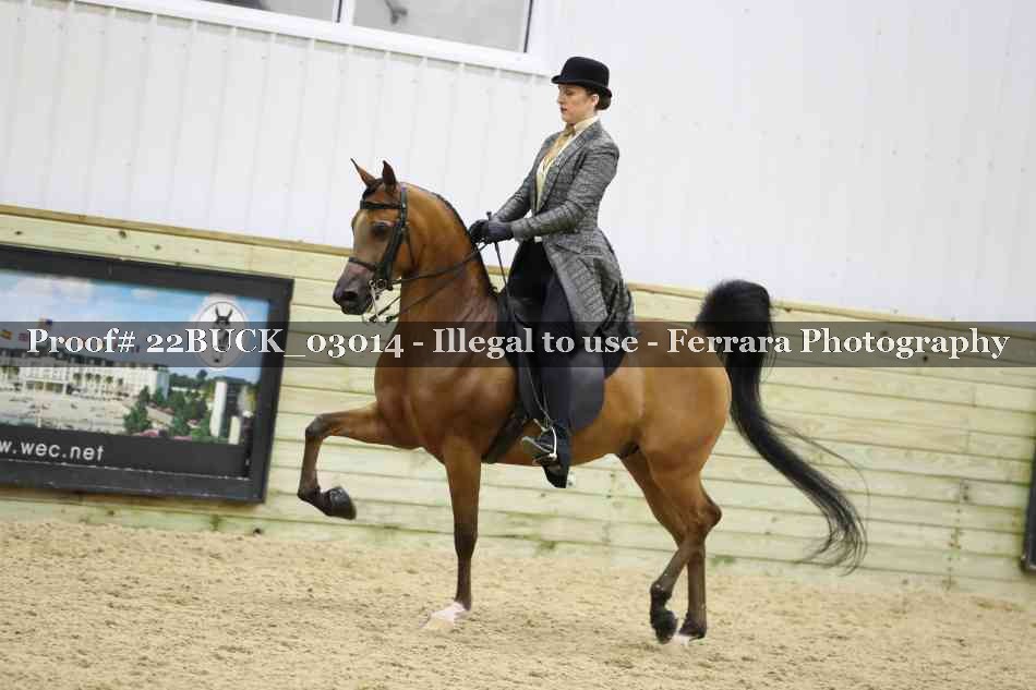 Proof 22BUCK_03014