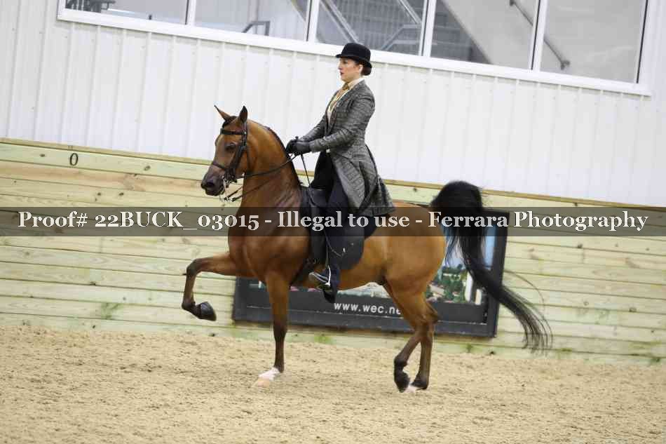 Proof 22BUCK_03015