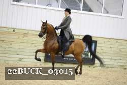 22BUCK_03015 proof