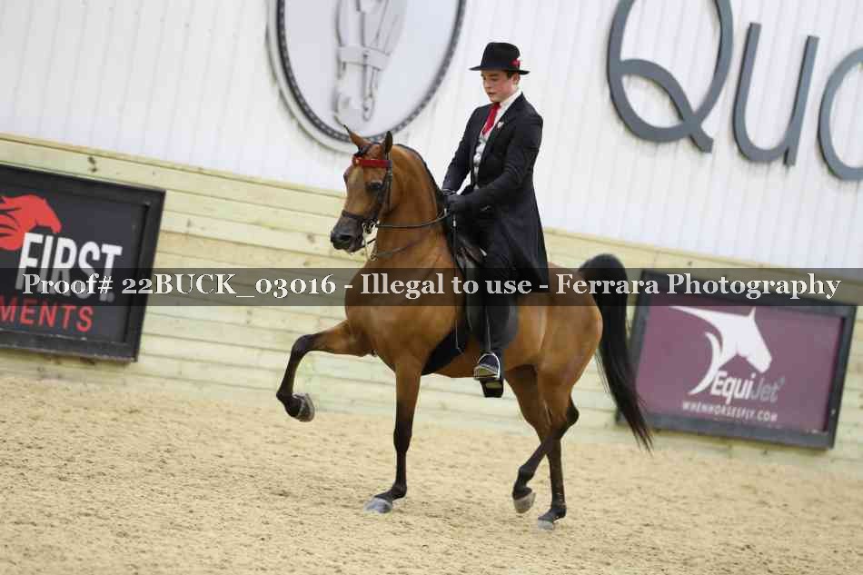 Proof 22BUCK_03016
