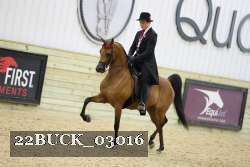 22BUCK_03016 proof
