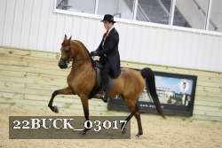 22BUCK_03017 proof