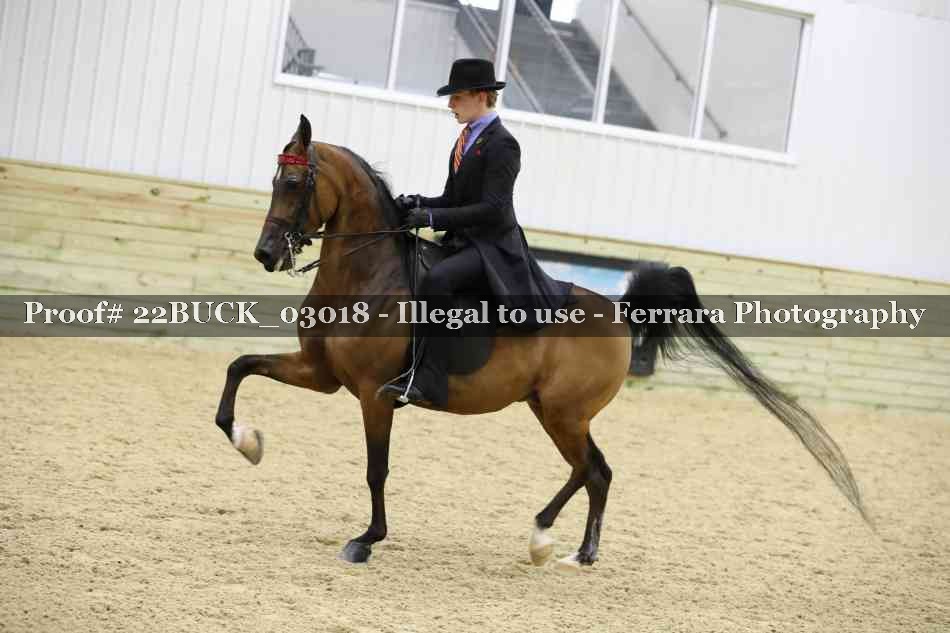 Proof 22BUCK_03018
