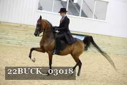 22BUCK_03018 proof