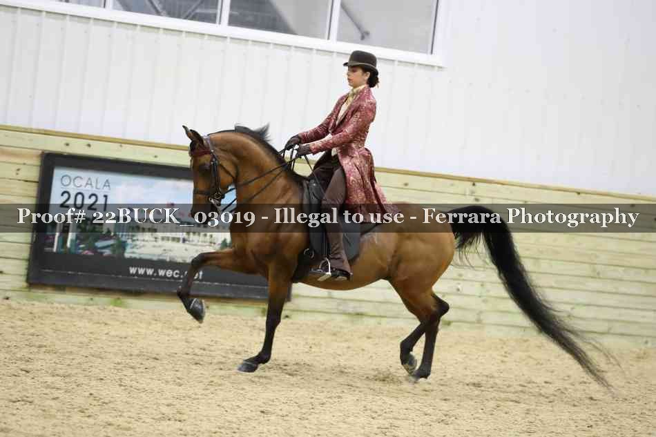 Proof 22BUCK_03019