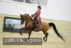 22BUCK_03019 proof