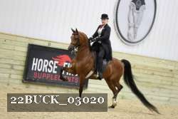 22BUCK_03020 proof