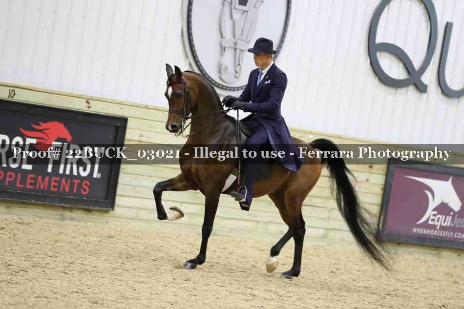 Proof 22BUCK_03021