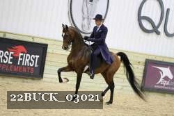 22BUCK_03021 proof