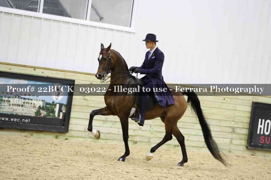 Proof 22BUCK_03022