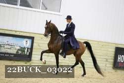 22BUCK_03022 proof