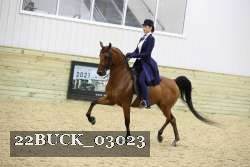 22BUCK_03023 proof