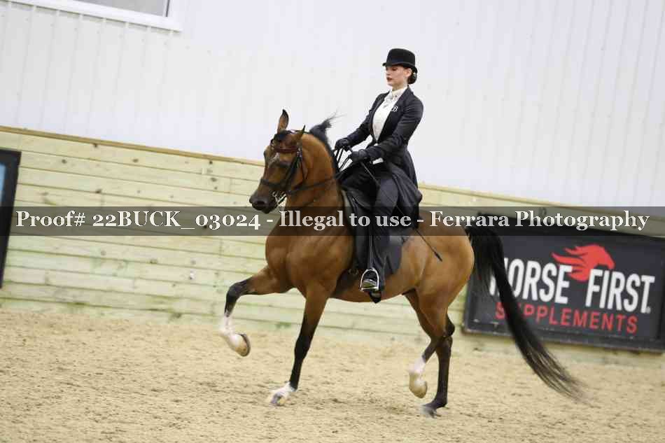 Proof 22BUCK_03024