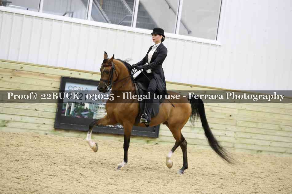 Proof 22BUCK_03025