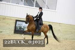 22BUCK_03025 proof