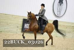 22BUCK_03026 proof