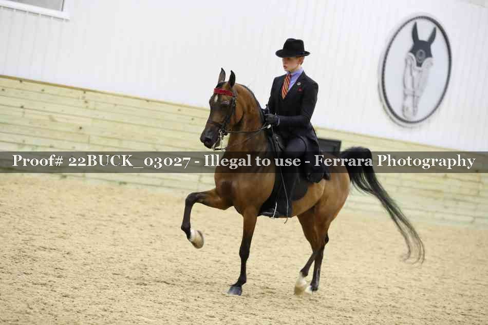 Proof 22BUCK_03027