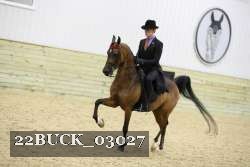 22BUCK_03027 proof