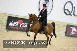 22BUCK_03028 proof
