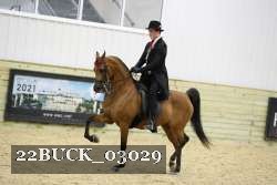 22BUCK_03029 proof