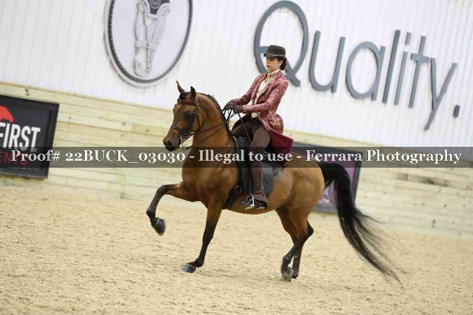 Proof 22BUCK_03030