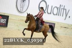 22BUCK_03030 proof