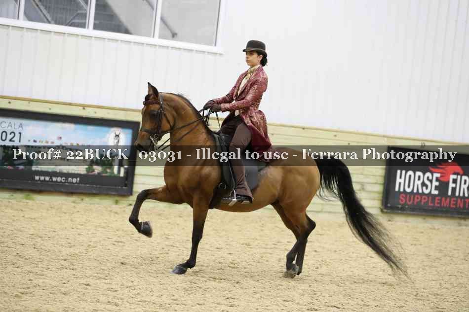 Proof 22BUCK_03031