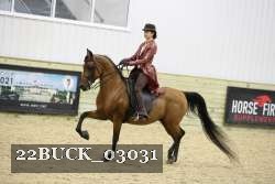 22BUCK_03031 proof