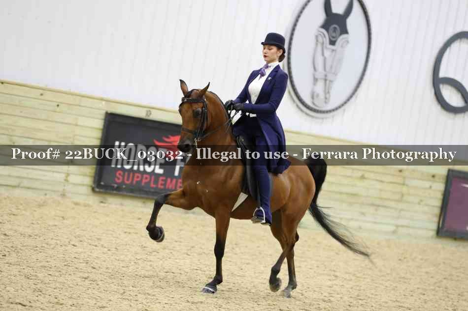 Proof 22BUCK_03032
