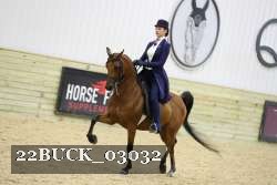 22BUCK_03032 proof