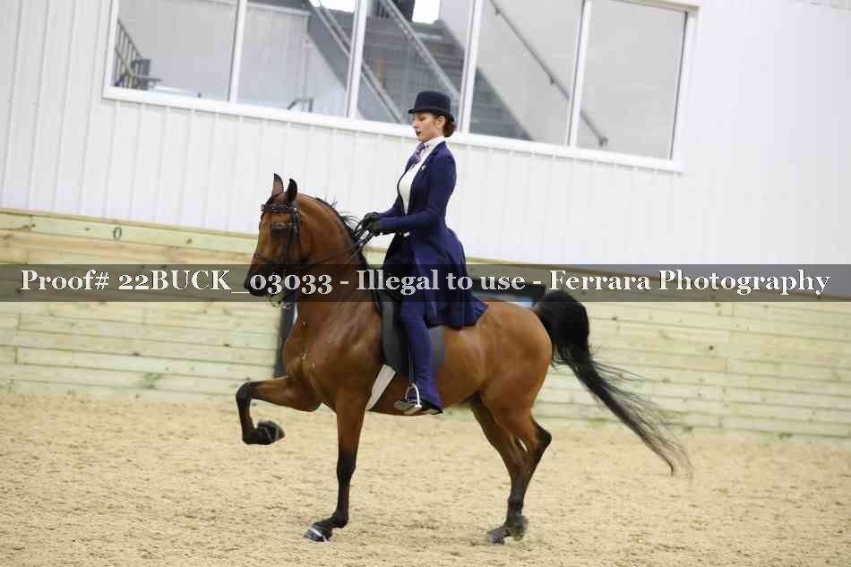 Proof 22BUCK_03033