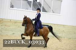 22BUCK_03033 proof