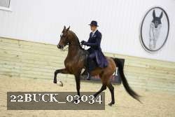 22BUCK_03034 proof