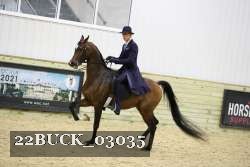22BUCK_03035 proof