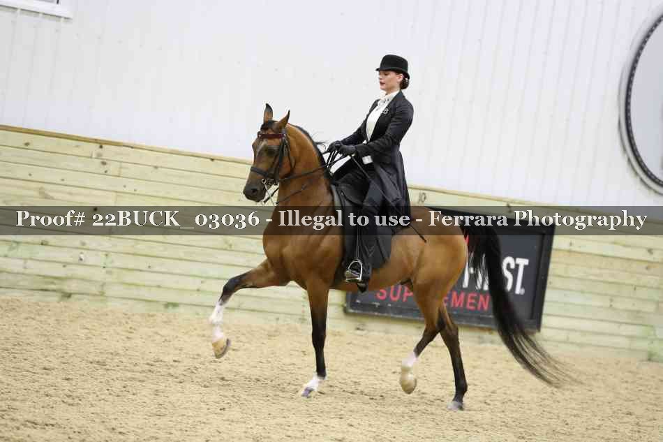 Proof 22BUCK_03036