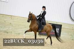 22BUCK_03036 proof