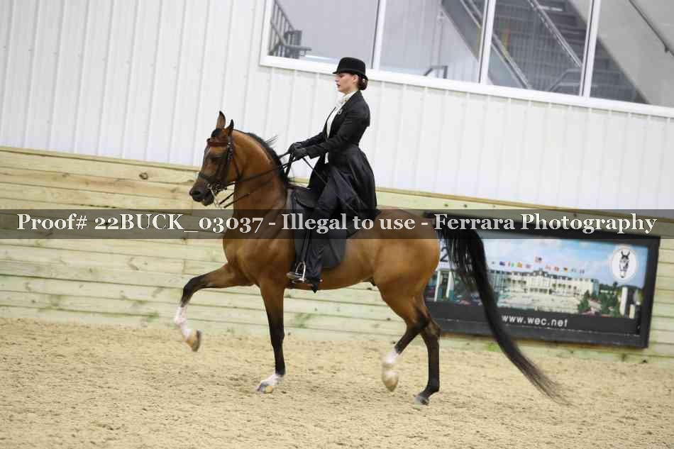 Proof 22BUCK_03037