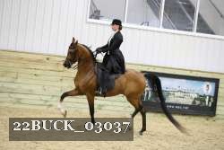 22BUCK_03037 proof