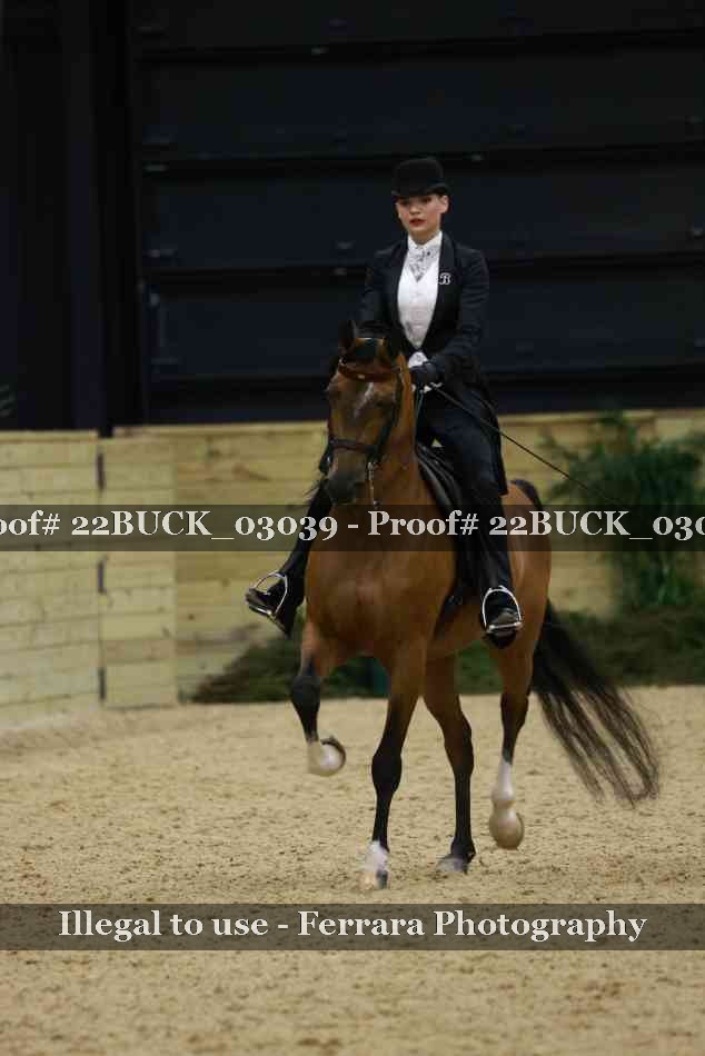 Proof 22BUCK_03039