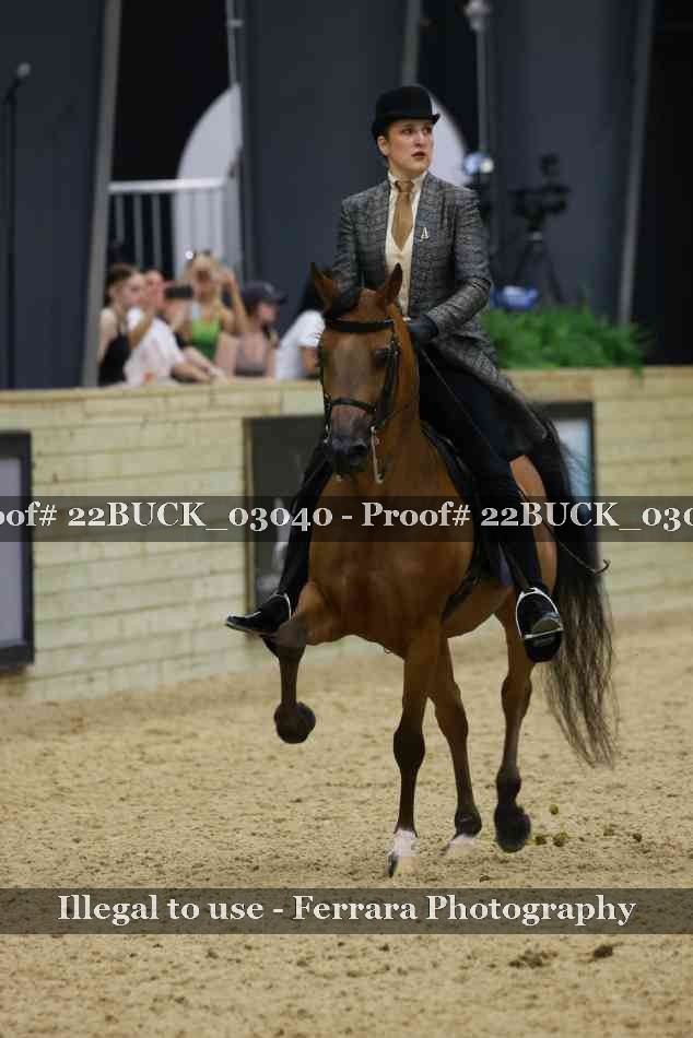 Proof 22BUCK_03040
